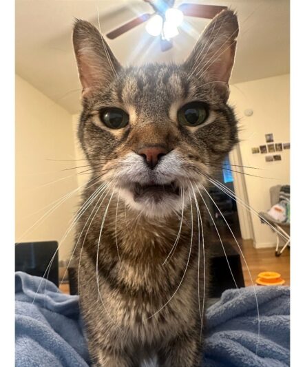 02cbdfce21db74bbad2bce232eabe327