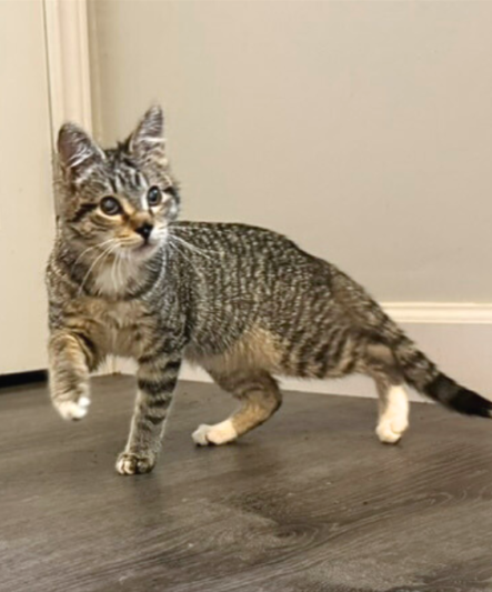 03a4561174c9672a884e076a3a6107a2