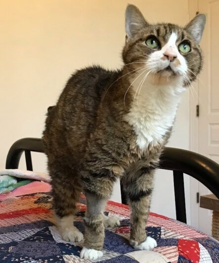 18e56ad5bee2fc40c75d50fb4ec9b4a3