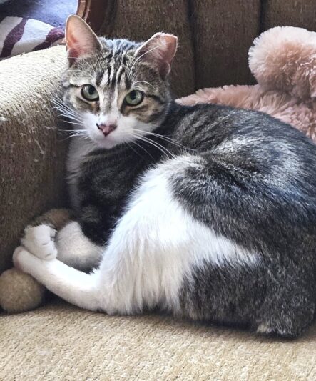 6d35d7f6ab2c904ab2d8ef7e4cae9b66