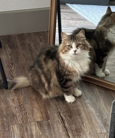 9d6a5c9bdebc0eea8ce5ec01f64e9a0f