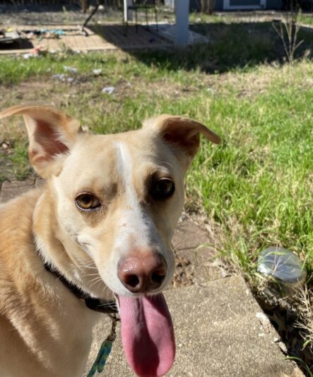 A978e0d1becc425fe6df78d84349c570