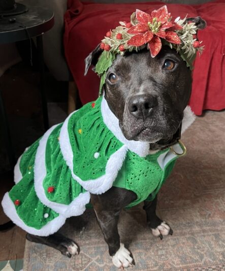 D4c7e8189aa294c25ceb9dc4790c3335