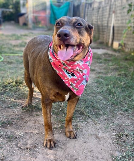 D9c022a85d610334d43349109d628ecc