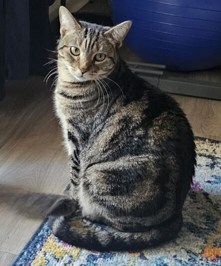 E044b30b12280d70157736226315536b