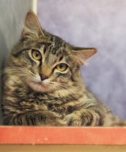 Ea2a6bc7f08e1a526f6f6f146e7b99ab