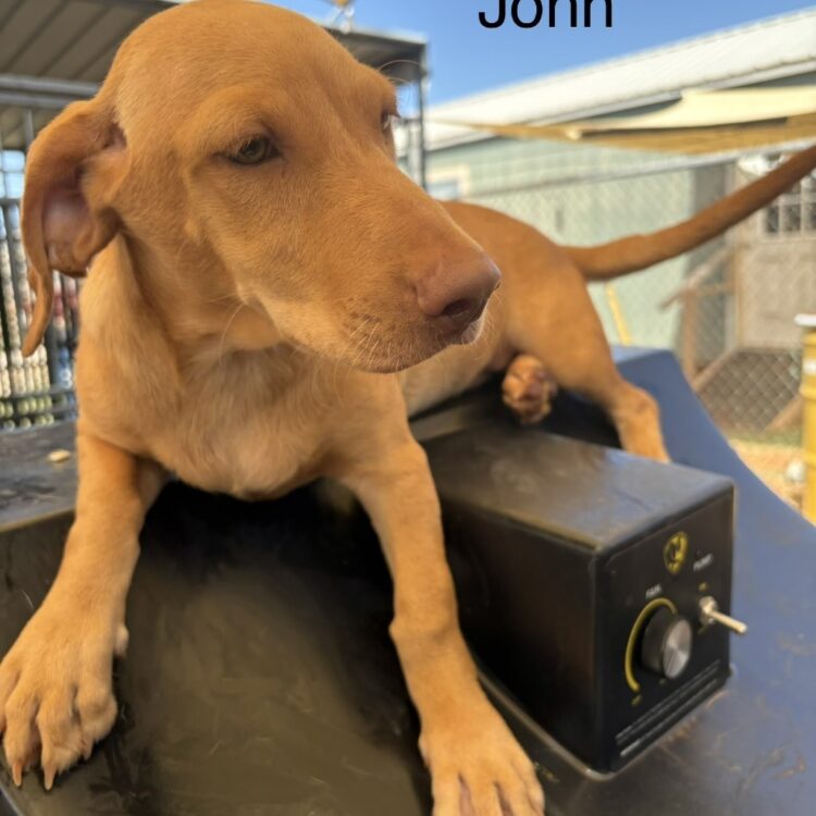 John