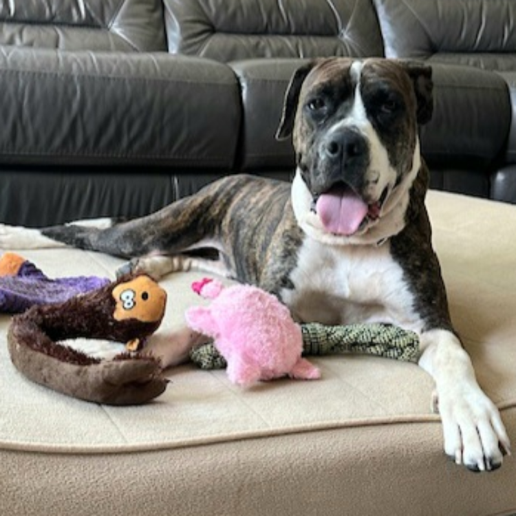 Xena