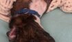 045a79336dabb0527396c0bd6ca23f39