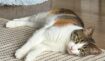 15d8ce245223b5baedfcd6063f92ba2d