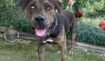 1dfd214af47e138187b463eed771e699