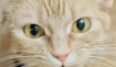 20240628104529