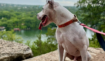 20240717091632