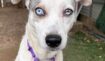 26e3b5b2609e88fd368838829a9c5e49