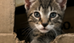 377d755ff92a095e7fd6be3dca749440