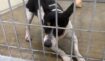 3dbf6075dea20073626a1959beb76267