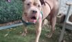 6e8d2f5f13f332fbb6899d8617235eeb