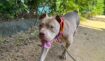 972472017a5cb930ea2ace6166288608