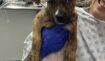 A158607cd38479c13daed721afbb679a