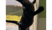 A1ca578aa0b1dc546f07e74720d86c14