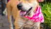 A7565085feb944a72d02a6454a52354f