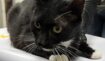 Ab49ec974fab317fb1c6463164b8a27b