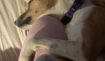 B27315cf9927d3eead358fe28f8dbb9a