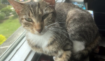 Cc173d597ebaea77561dcfe61cc31ac8