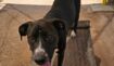 Cf734b2c809721a9b7e4018013de7a55