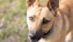 E1064b0799104fed4cbce93e36cafd0b