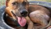 E6dad2ff5383e9b4aa1bf98eb9aa86e3