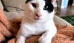 E747360664bb3c335830b3b76db02d0f