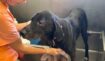 E94f6ad9ce5172aeec315c9888adc400