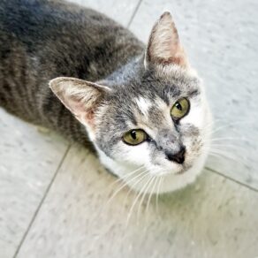 00ed1cf721908d6bf6c165a7c487525c