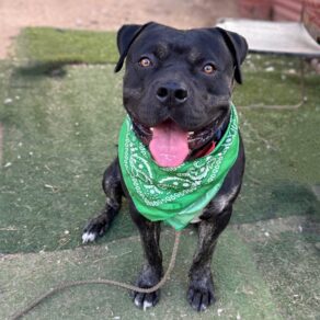 01618d9d0012e94ca2080d361a75655a