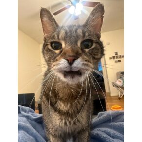 02cbdfce21db74bbad2bce232eabe327