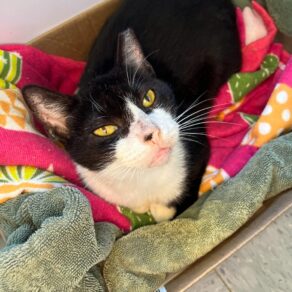 033516378258498742d5824f4ba86947