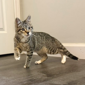 03a4561174c9672a884e076a3a6107a2