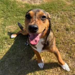 03c5314e527126e9764805dc91e3ad71