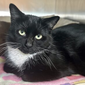 03c96f6630ac107357e792b499d75f61