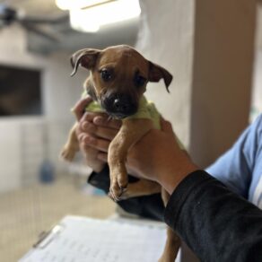 04ec03ead67fc9ee1c1fb97a092f6fa1