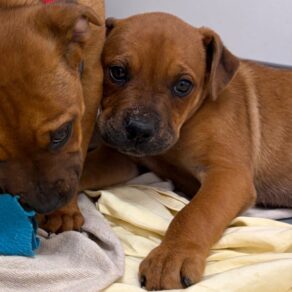 052119b8081b2eb38464ebd7d987421a