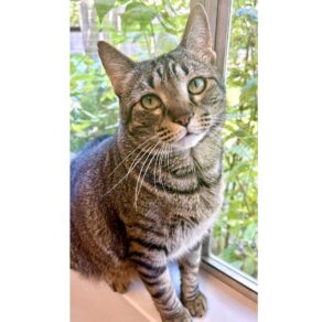 06ab7a42006c2fdbf45016cf6edfc295