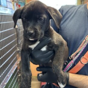 07154b60a4109ef47e4253b21323a06b