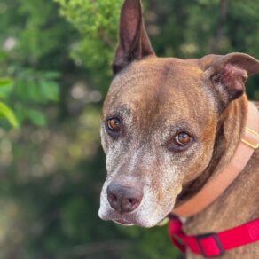 08c663c734547aef36af11a6a530951c