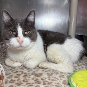 098301ab01f76a110c32569eb76a13fa