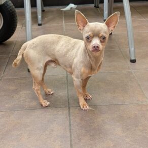 0beee059d0c30f982f8de7d661d0ef45