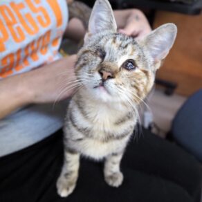 0e382505dbf94463db171add351ad92c