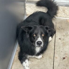 0e474d69245bc866a12e384297f66ae0