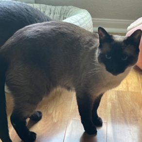 0ef16e252127c396096167247859fe1f